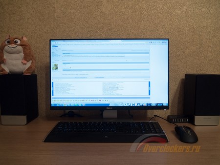 450x338  33 KB. Big one: 1500x1125  375 KB