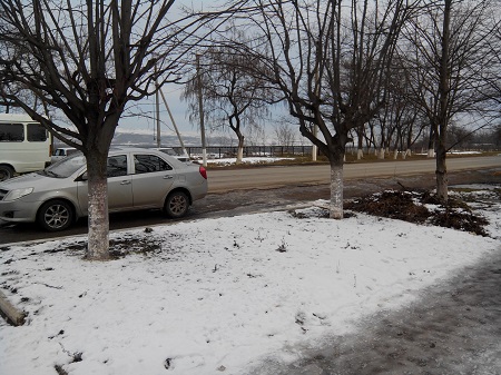 450x337  130 KB. Big one: 3264x2448  2207 KB