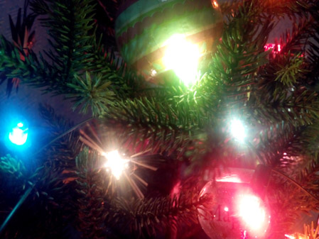 449x337  55 KB. Big one: 4096x3072  3396 KB