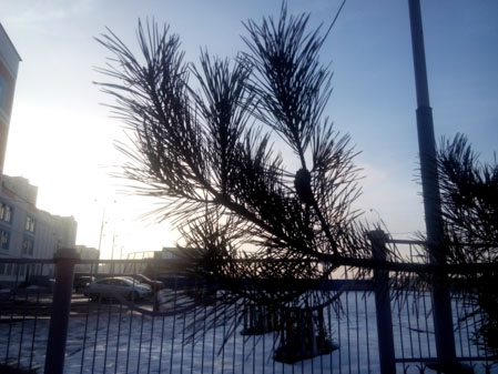 449x337  48 KB. Big one: 4096x3072  3058 KB