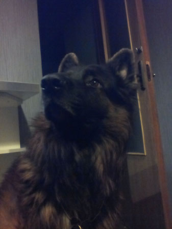 337x449  19 KB. Big one: 1536x2048  795 KB