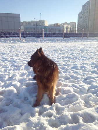 337x449  59 KB. Big one: 3072x4096  1427 KB