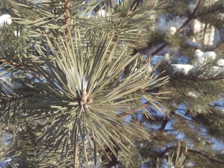 449x337  51 KB. Big one: 4096x3072  1684 KB