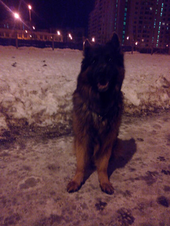 337x449  51 KB. Big one: 3072x4096  2923 KB