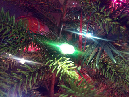 449x337  56 KB. Big one: 4096x3072  2285 KB