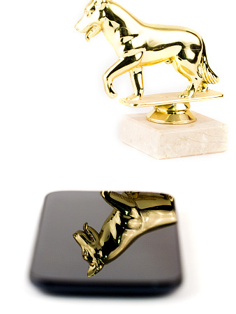 338x450  38 KB. Big one: 1125x1500  284 KB