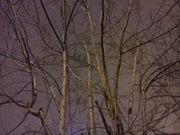 200x150  11 KB. Big one: 3264x2448  4819 KB