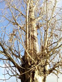 200x266  27 KB. Big one: 2448x3264  4287 KB