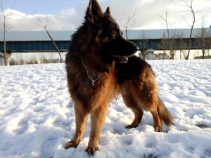 300x225  20 KB. Big one: 3264x2448  1688 KB