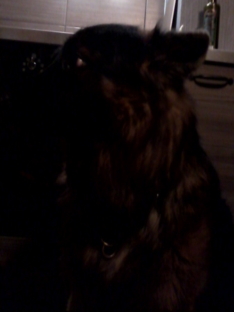 337x449  47 KB. Big one: 1200x1600  237 KB