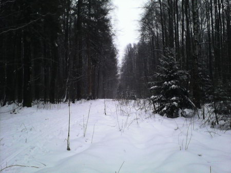 450x338  43 KB. Big one: 1600x1200  759 KB