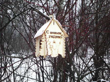 450x338  58 KB. Big one: 1600x1200  1282 KB