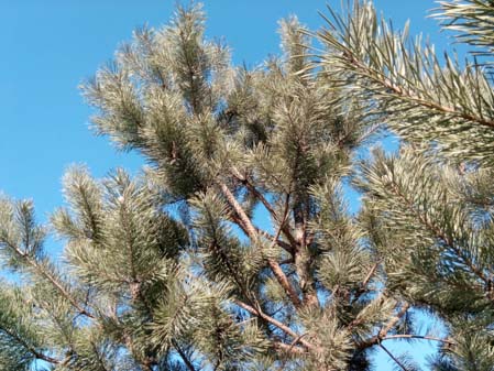 449x337  52 KB. Big one: 4096x3072  5583 KB