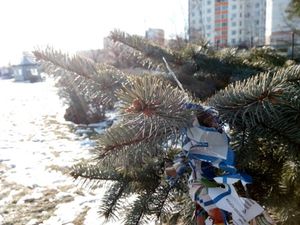 300x225  23 KB. Big one: 4096x3072  2607 KB