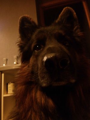 300x400  16 KB. Big one: 3072x4096  2628 KB