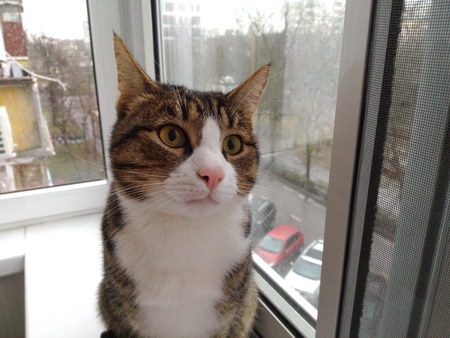 450x338  49 KB. Big one: 4160x3120  2016 KB