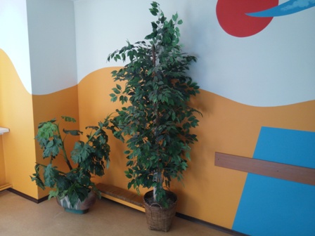 448x336  55 KB. Big one: 4096x3072  3236 KB