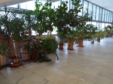 448x336  80 KB. Big one: 4096x3072  3852 KB