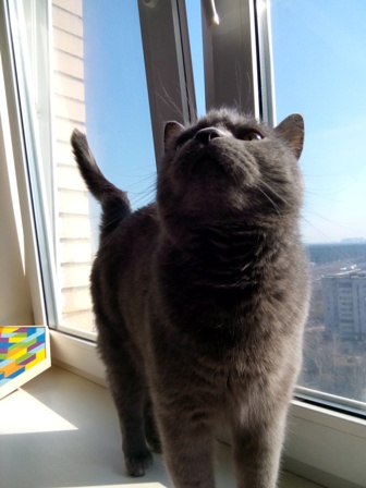 336x448  56 KB. Big one: 1920x2560  1163 KB