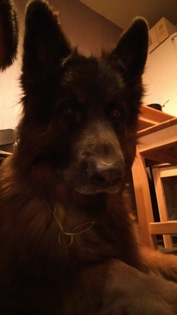 253x449  57 KB. Big one: 1440x2560  1274 KB