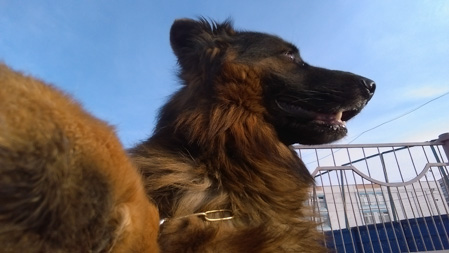 449x253  45 KB. Big one: 2560x1440  1210 KB