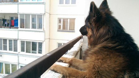 449x254  48 KB. Big one: 2688x1520  1344 KB