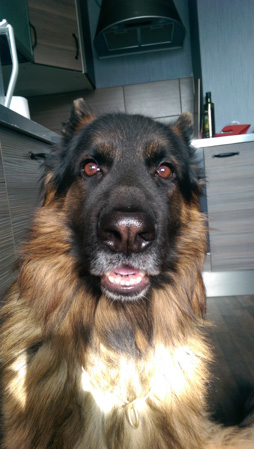 254x449  54 KB. Big one: 1520x2688  1615 KB