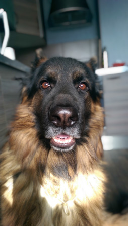 254x449  44 KB. Big one: 1520x2688  951 KB