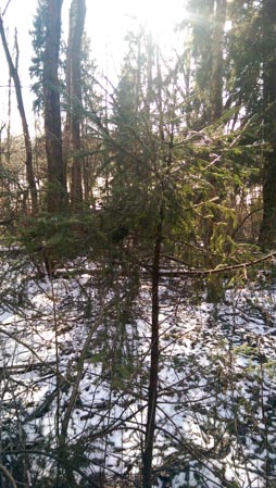 254x449  48 KB. Big one: 1520x2688  2660 KB