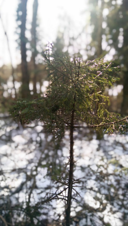 254x449  59 KB. Big one: 1520x2688  1165 KB