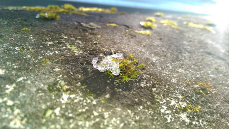 449x254  53 KB. Big one: 2688x1520  1815 KB