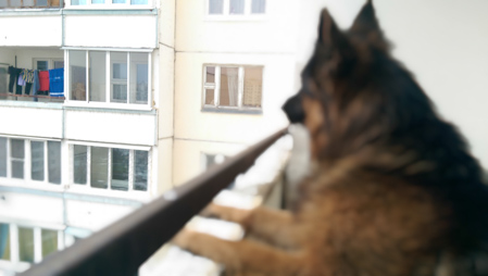 449x254  48 KB. Big one: 2688x1520  644 KB