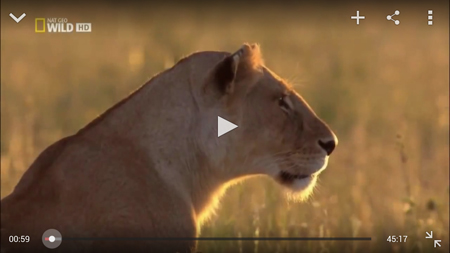 450x253  126 KB. Big one: 1500x844  823 KB