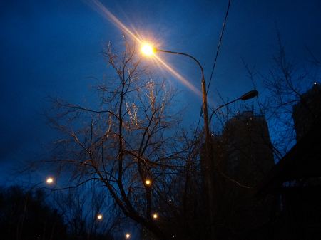 450x337  20 KB. Big one: 3264x2448  1435 KB