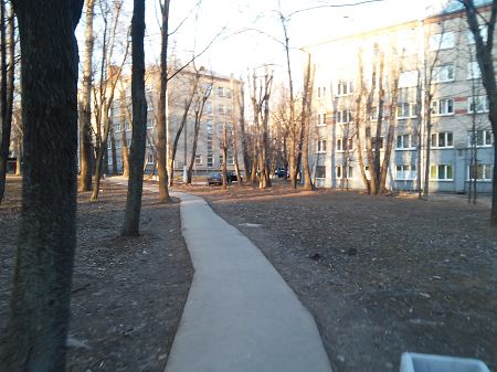 450x337  36 KB. Big one: 3264x2448  2553 KB