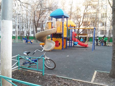 450x337  49 KB. Big one: 3264x2448  3367 KB