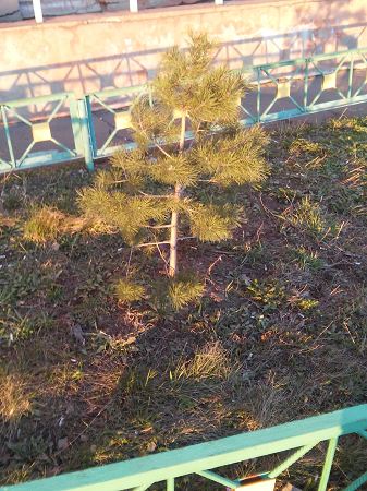 337x450  52 KB. Big one: 2448x3264  2995 KB