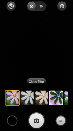 253x450  83 KB. Big one: 844x1500  1122 KB