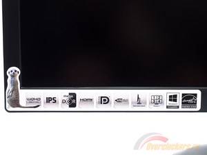 300x225  9 KB. Big one: 1500x1125  165 KB