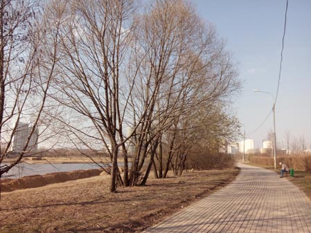 449x337  51 KB. Big one: 4160x3120  5653 KB