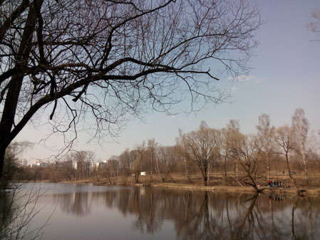 449x337  52 KB. Big one: 4160x3120  4120 KB