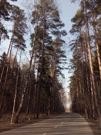 337x449  51 KB. Big one: 3120x4160  4892 KB