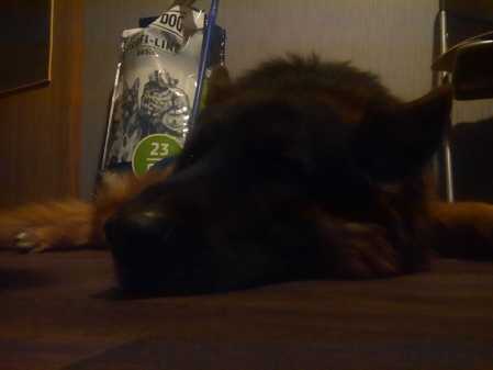 449x337  60 KB. Big one: 2560x1920  749 KB