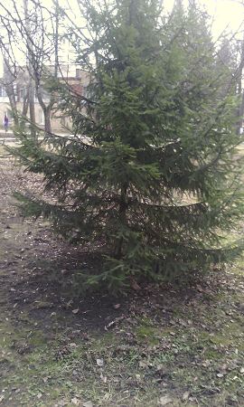 270x450  40 KB. Big one: 1728x2880  1222 KB