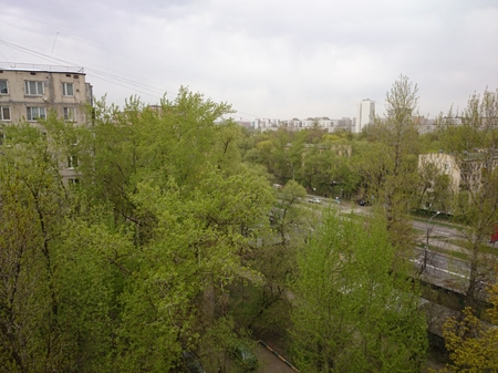 450x337  160 KB. Big one: 5248x3936  4203 KB