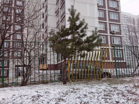 450x337  54 KB. Big one: 3264x2448  2504 KB