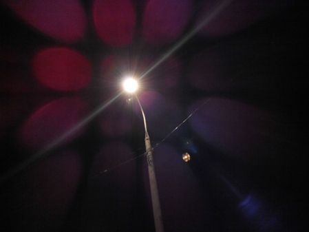 449x337  49 KB. Big one: 3264x2448  2453 KB