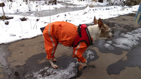 450x253  49 KB. Big one: 3264x1836  973 KB