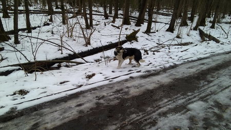 450x253  58 KB. Big one: 3264x1836  1129 KB