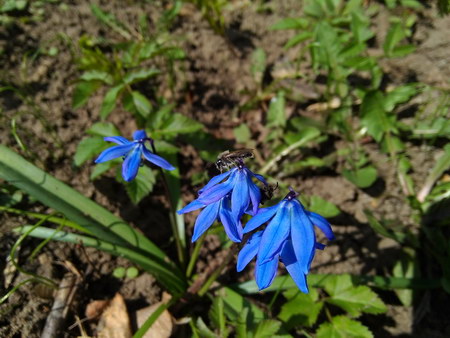 450x338  63 KB. Big one: 3264x2448  1185 KB